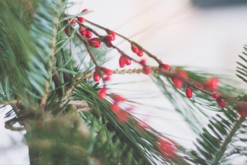 Celebrate the Holidays with Artificial Christmas Trees